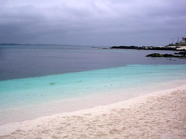 제주 우도 사진 1